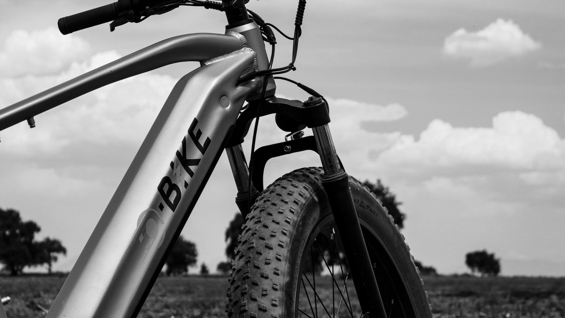 Two E-Bike Riders Killed in Sacramento County Collision, Driver Arrested for DUI